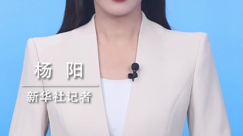 医疗数据服务平台排名：揭秘其背后的关键因素